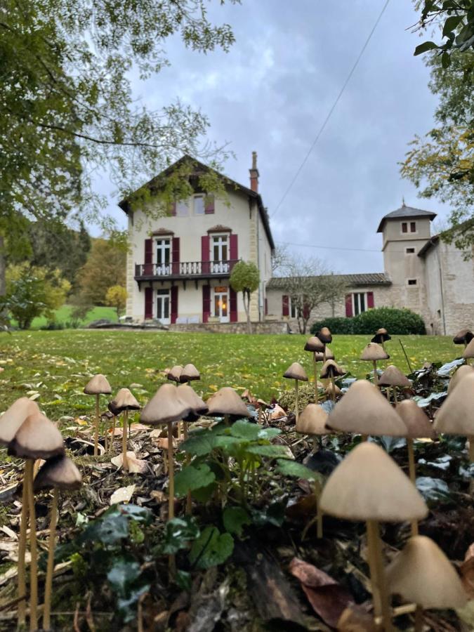 Bed and Breakfast Domaine La Rose Caylus Zewnętrze zdjęcie